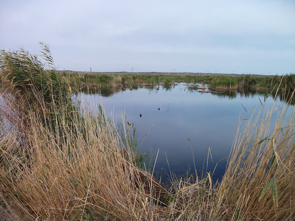 Lyman Lake Balkhash