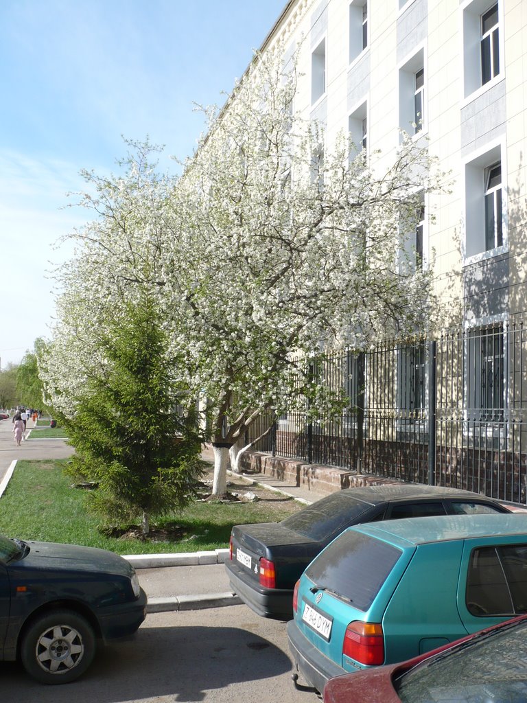 Beibitschilik, 57