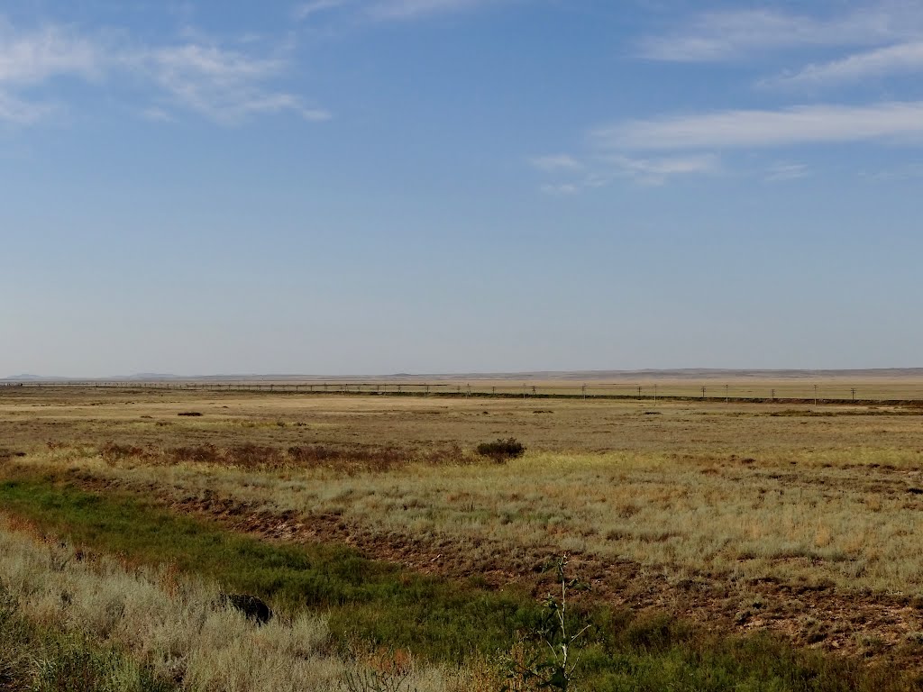 Степь да степь кругом