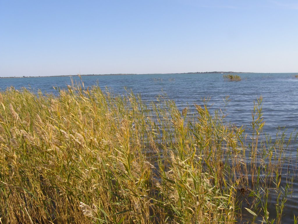 Балхашские просторы/Balkhash open spaces