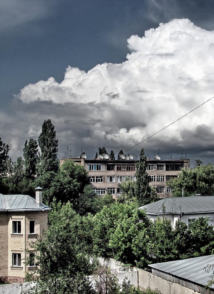 вид из окна