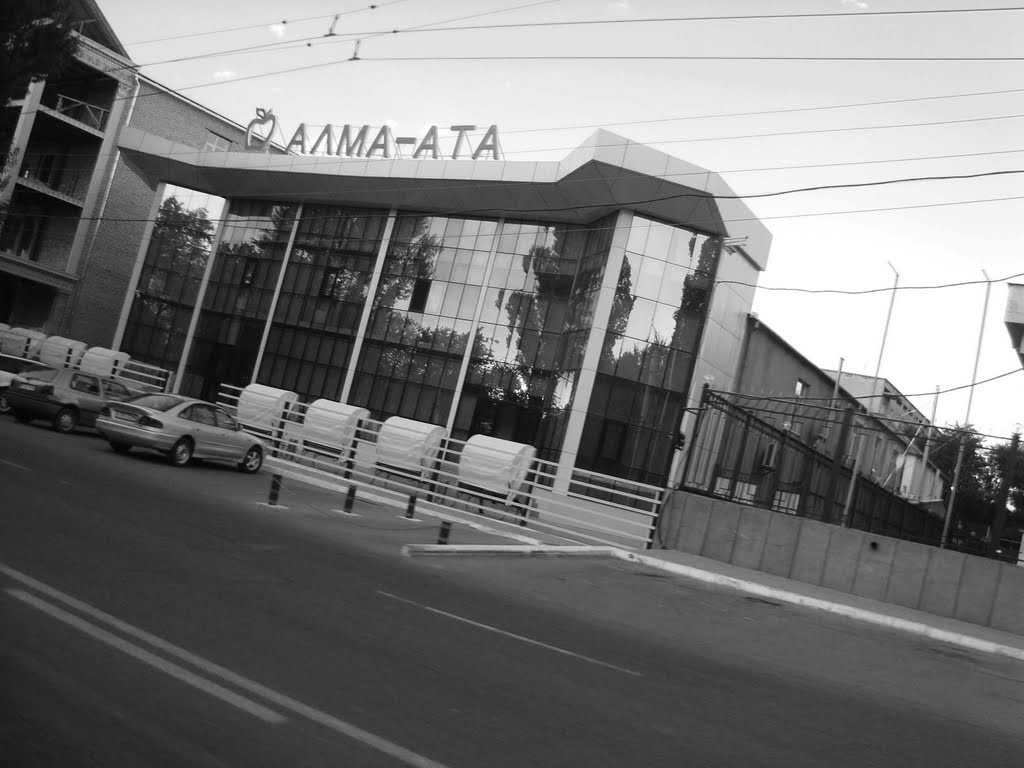 АЛМА-АТА