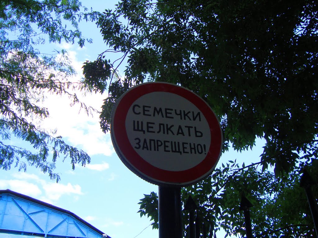 Проблема Востока.