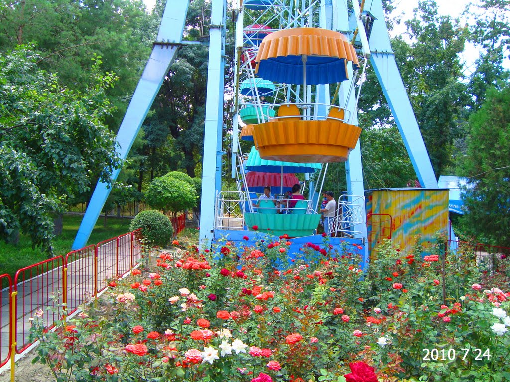 Крышечки от лимонада.