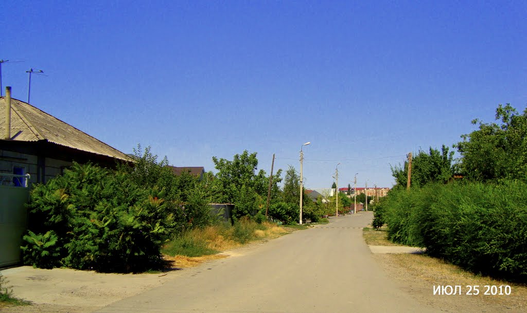 ул.П.Осипенко