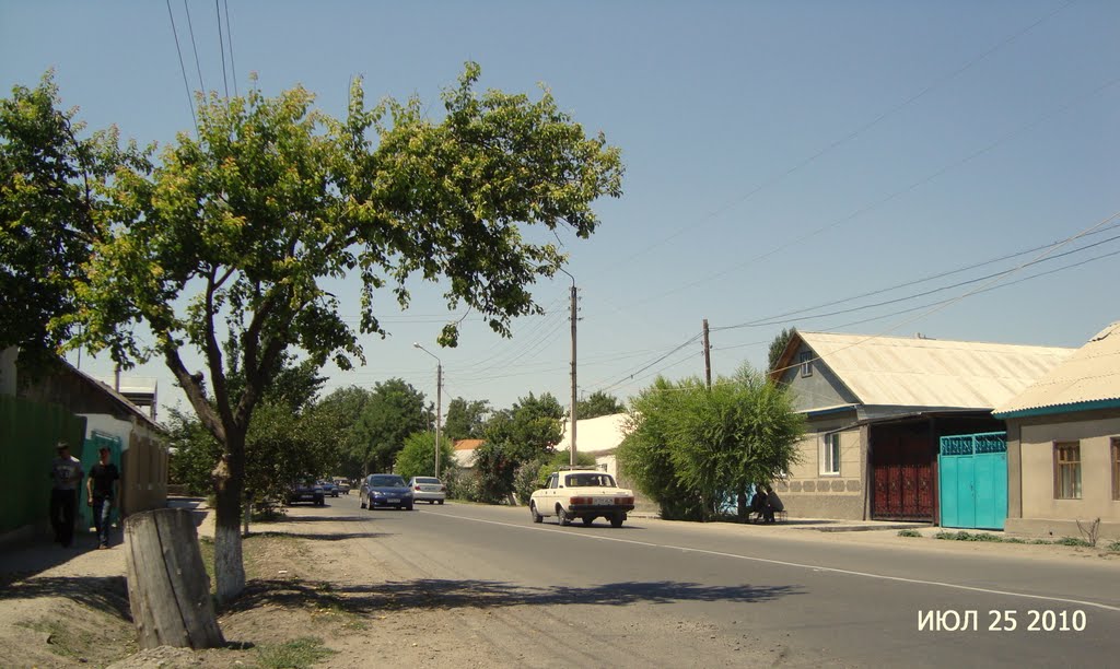 ул.Ташкентская
