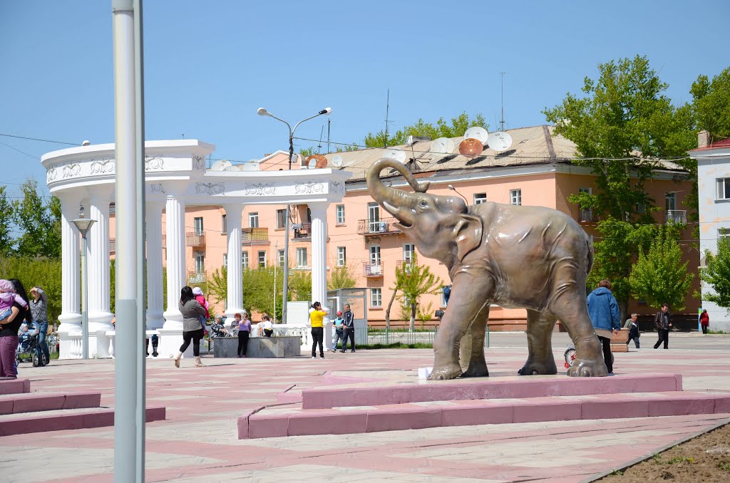Слон