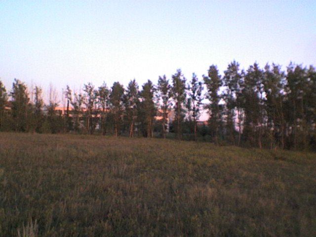парк