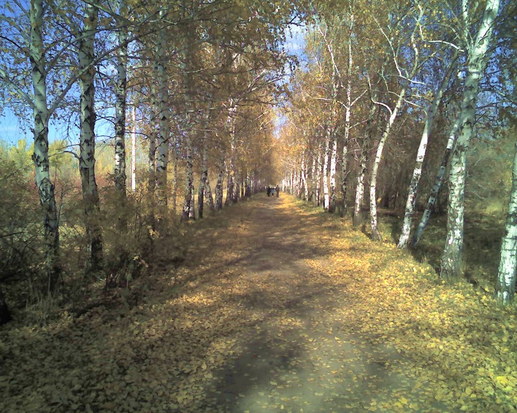 Bat Sad - Berezovaya Rosha Osen