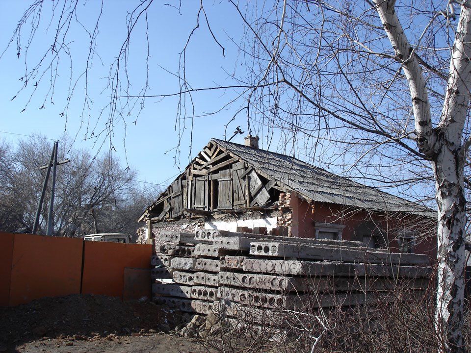 березки и полешки)