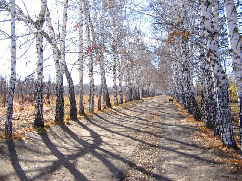 Ботанический сад