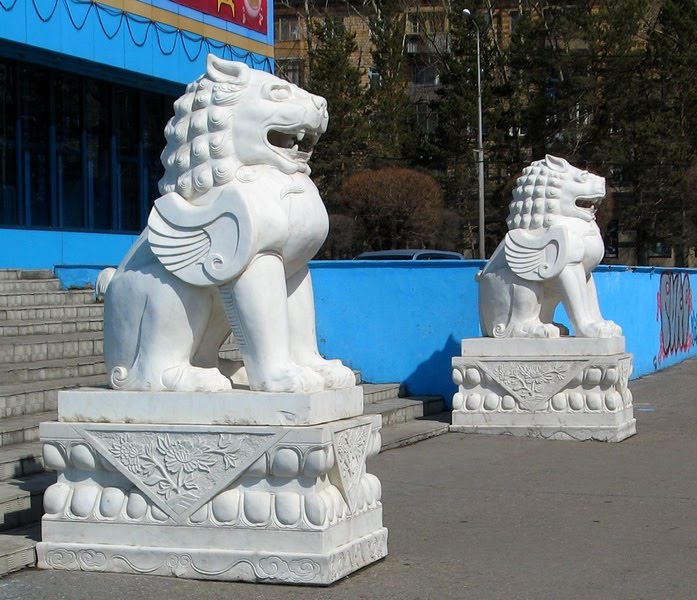 Львы