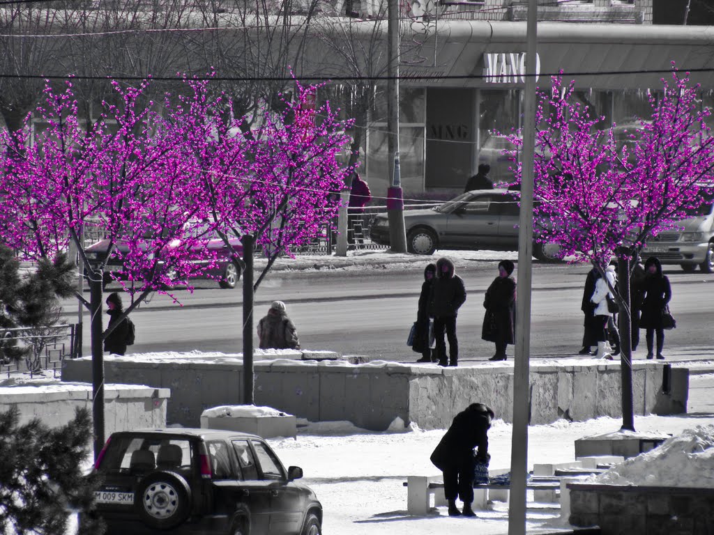 Karaganda in color / Караганда в цвете
