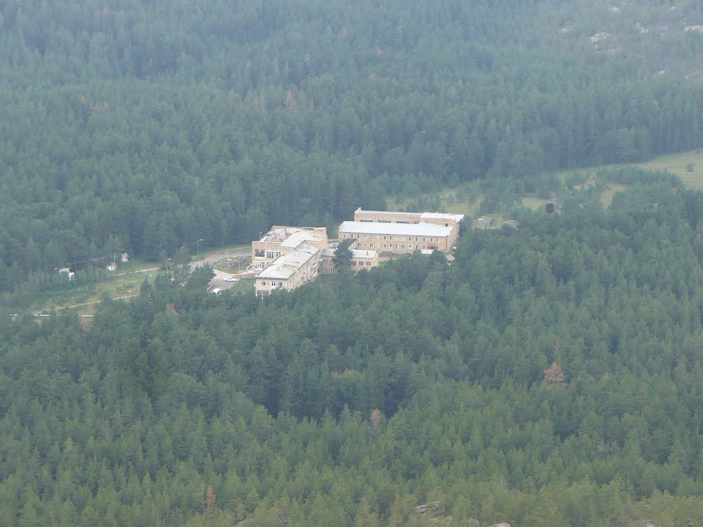 Сосновый бор