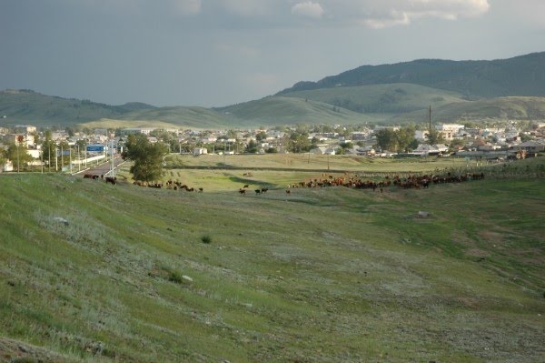 (авт.Дидар Амантай (Д.А.)