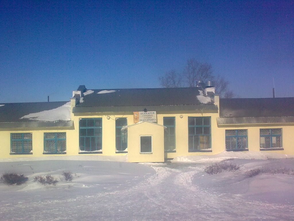 Казахстан, Осакаровка, март 2010