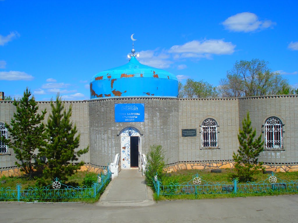 Мечеть в Осакарівці