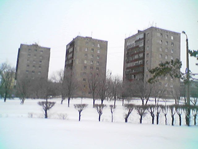 Skfva ordinonosmomu