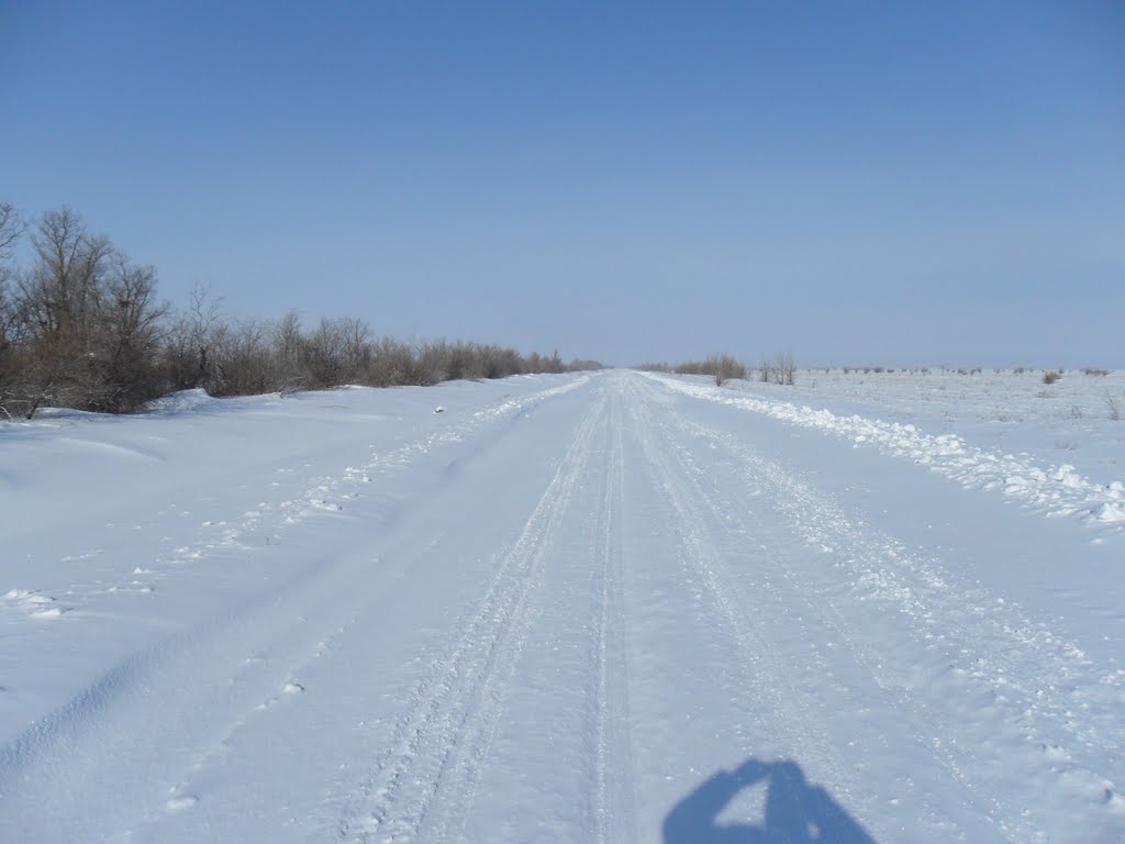 зимняя дорога