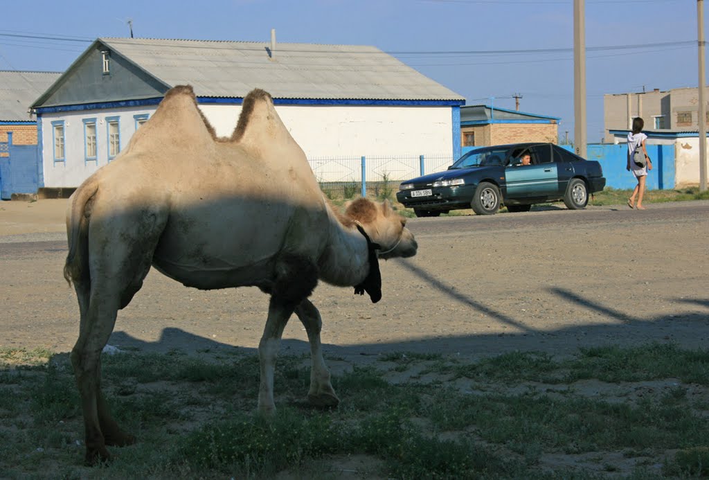 Улицы Аральска.