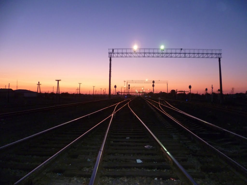 Утро, фонари...