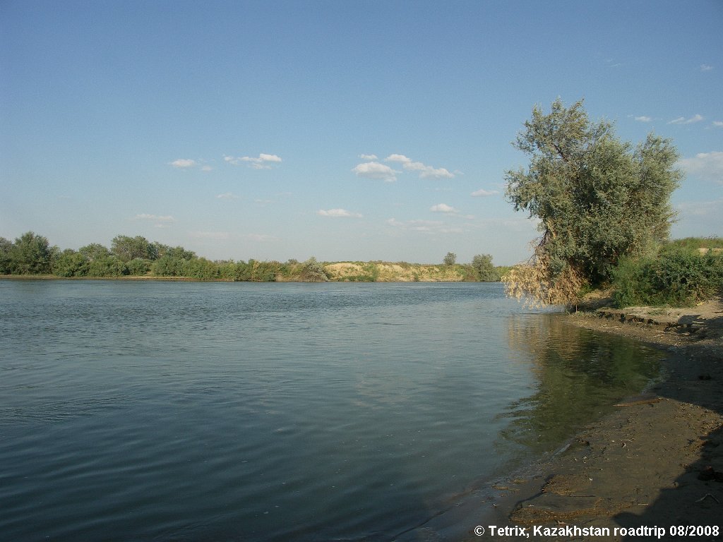 Road M32 Kyzylorda-Aralsk Syrdarya river