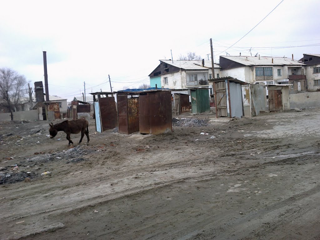 грибочки 2