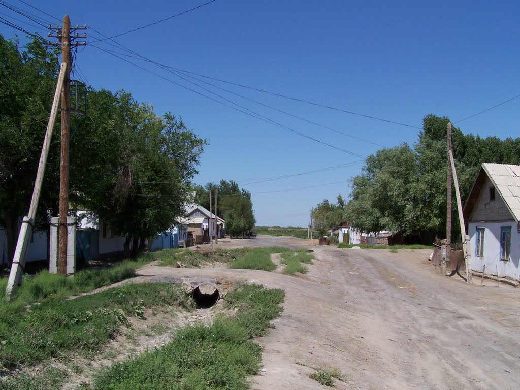 Начало улицы Валиханова