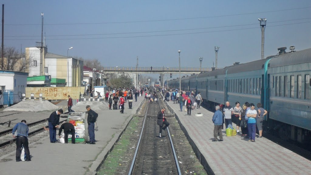 Шиели.