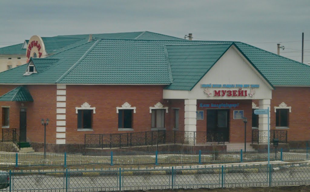 Шиели.