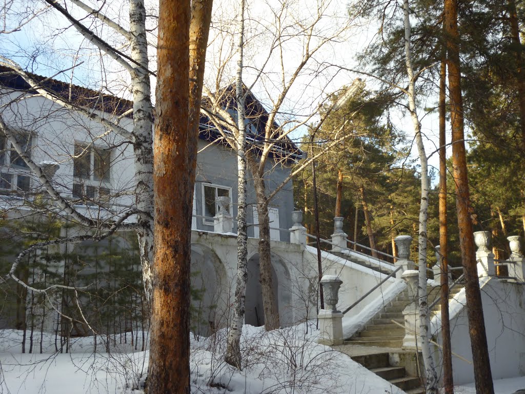 Боровое. Внутри леса