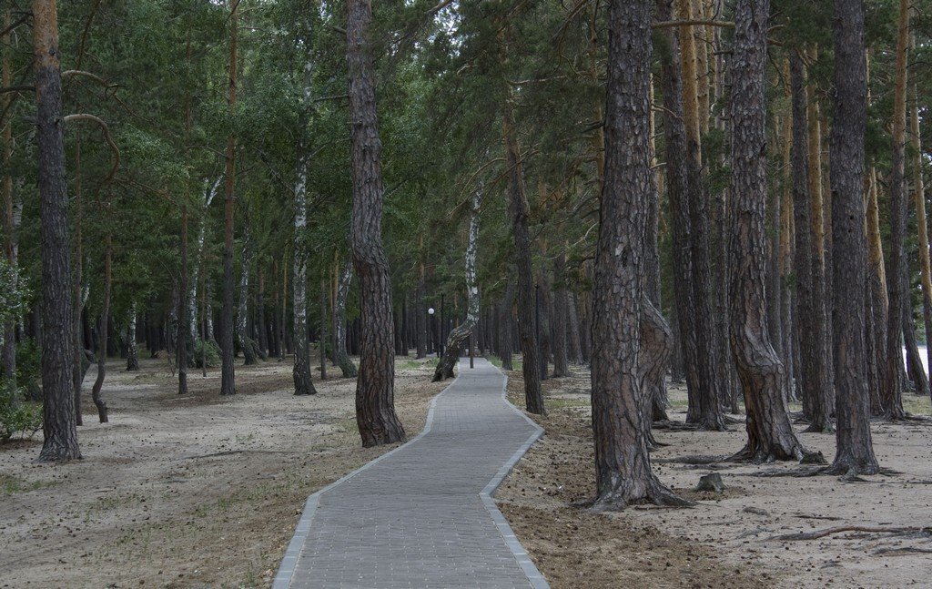 Тропинка