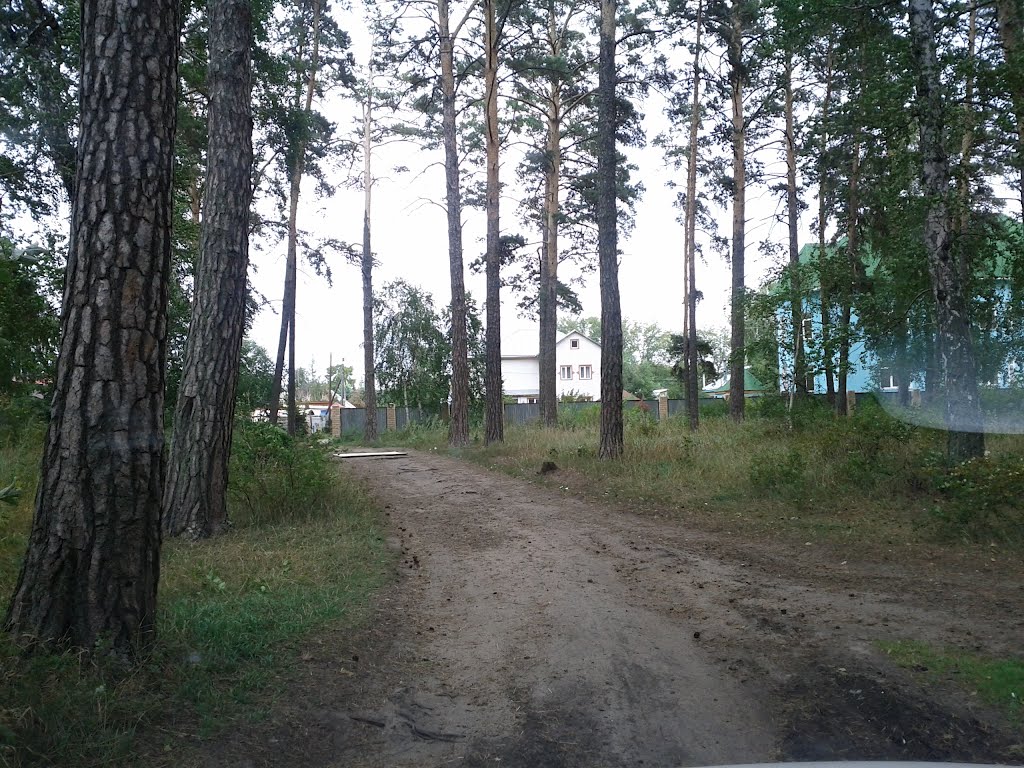 Просто дорожка (2011 год)