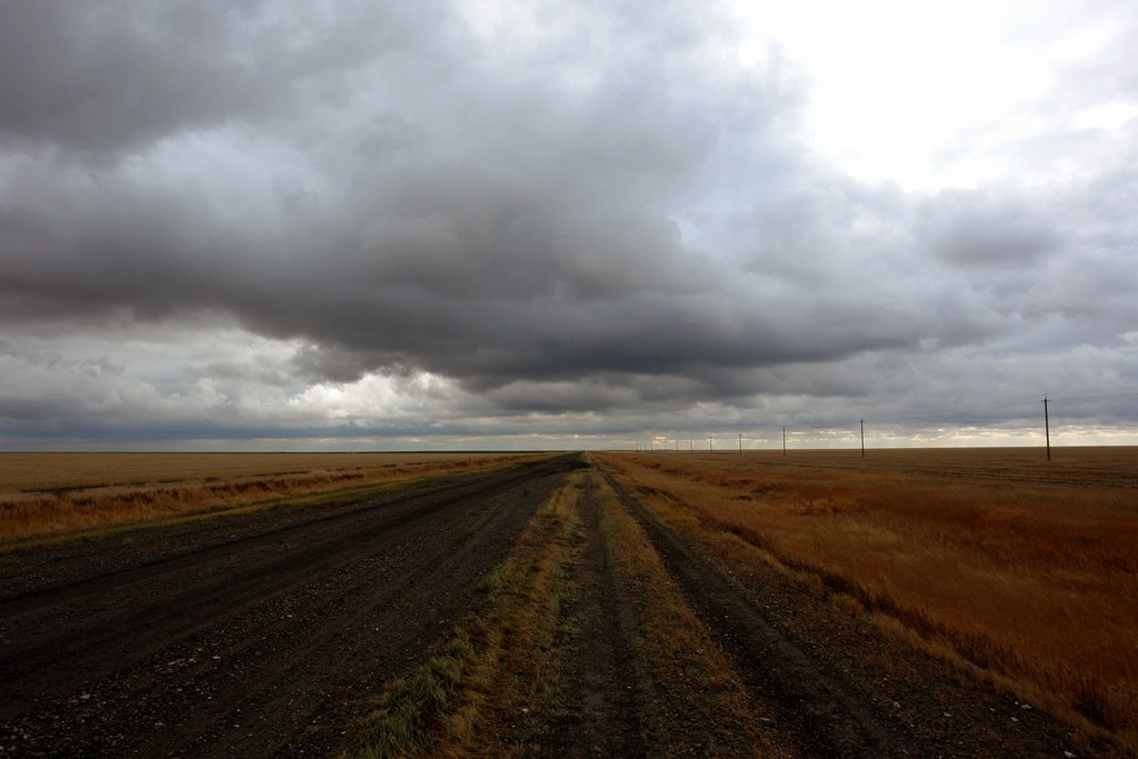 Die Steppe...