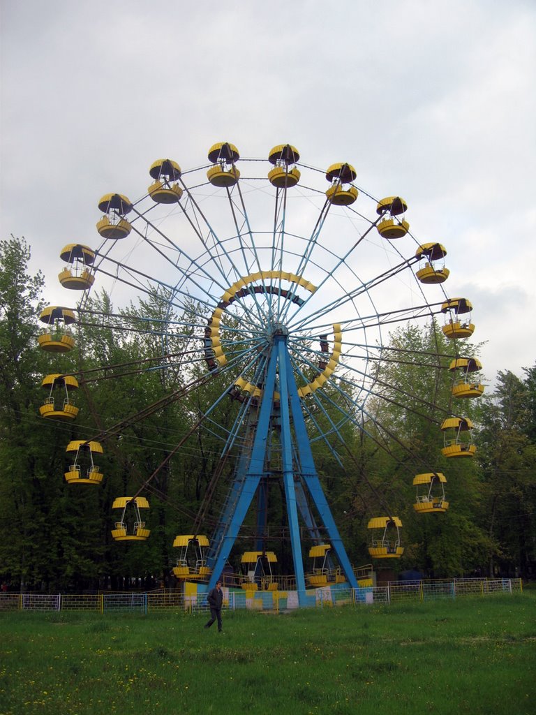 Городской парк, колесо обозрения/Чертово колесо (05.2008)