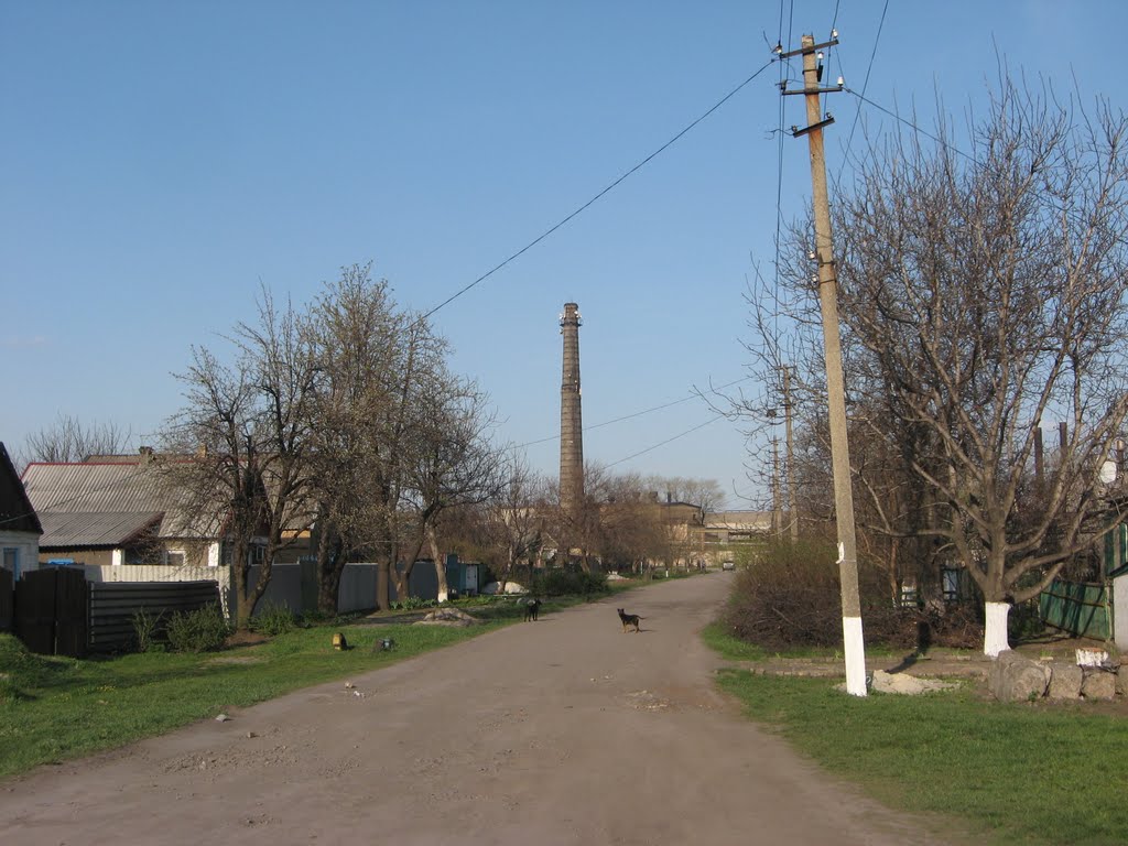 Красноармейск, ул. 8 Марта, труба Динасового завода