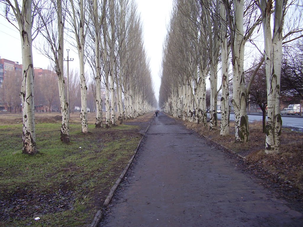 Аллея