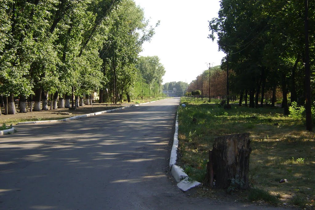 прямая к заводу Динас