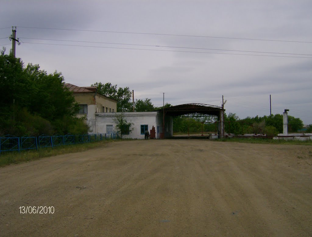 "Бык-база"   Красный Яр