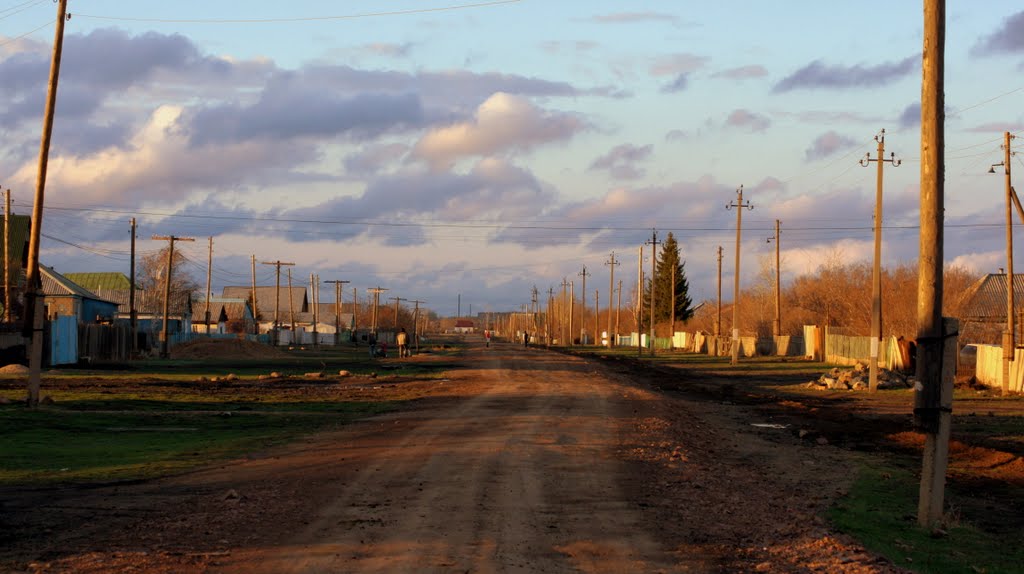 Ул. С. Сейфулина в с. Красный Яр