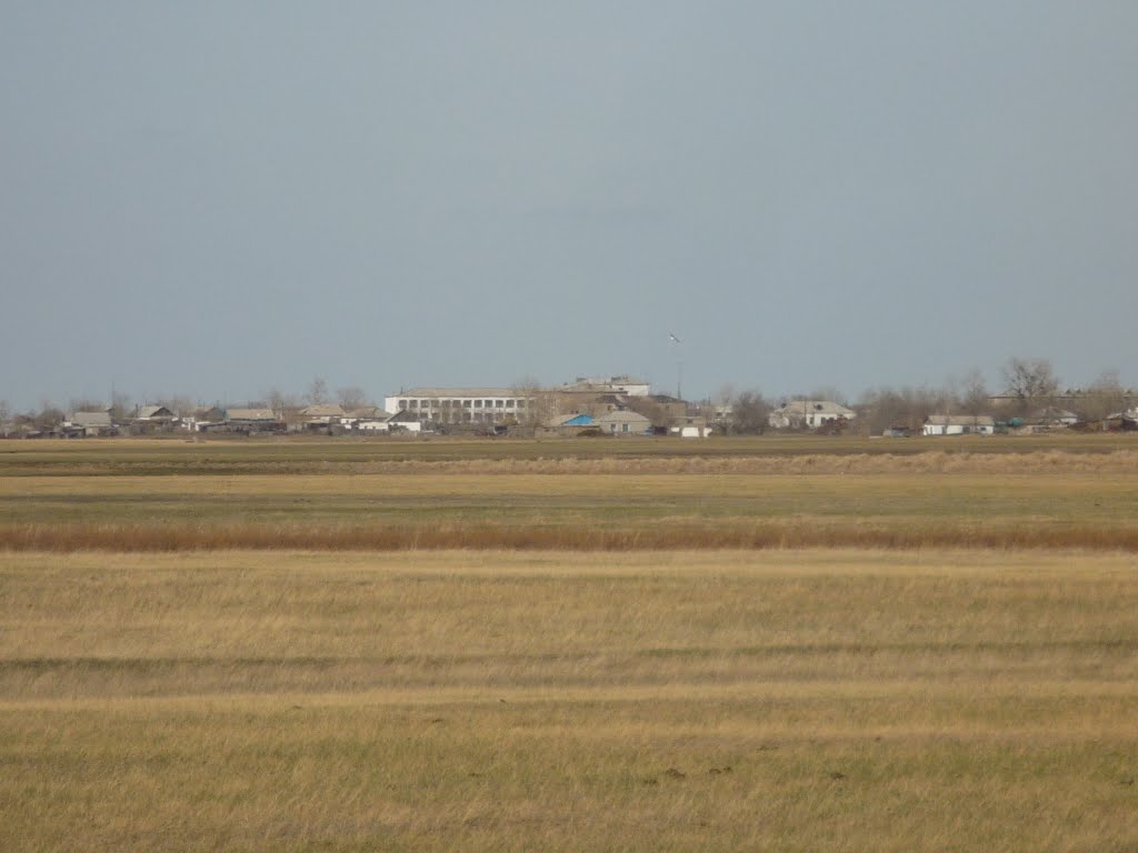 Жана-аул