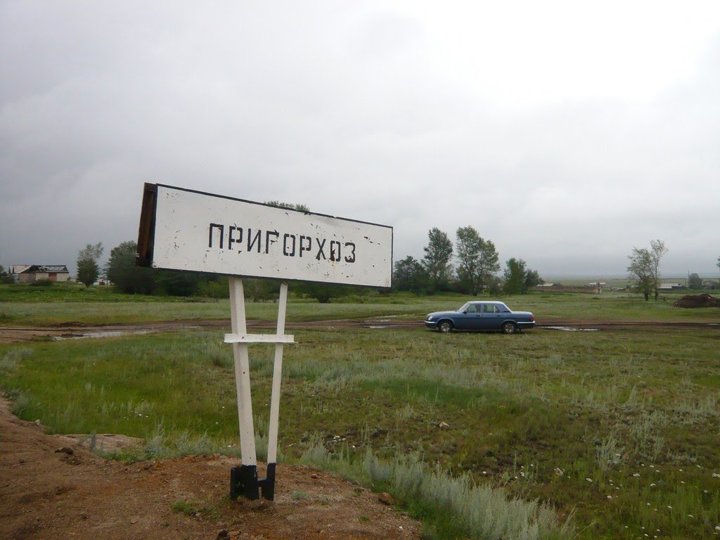 Пригорхоз