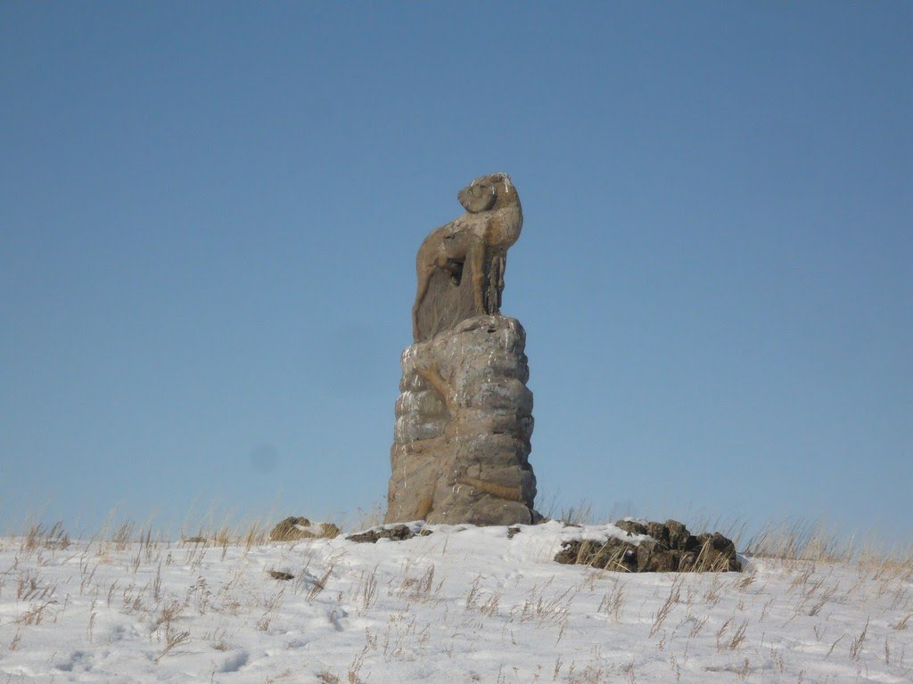 Баран