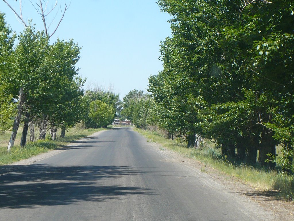 По дороге в Чкалово