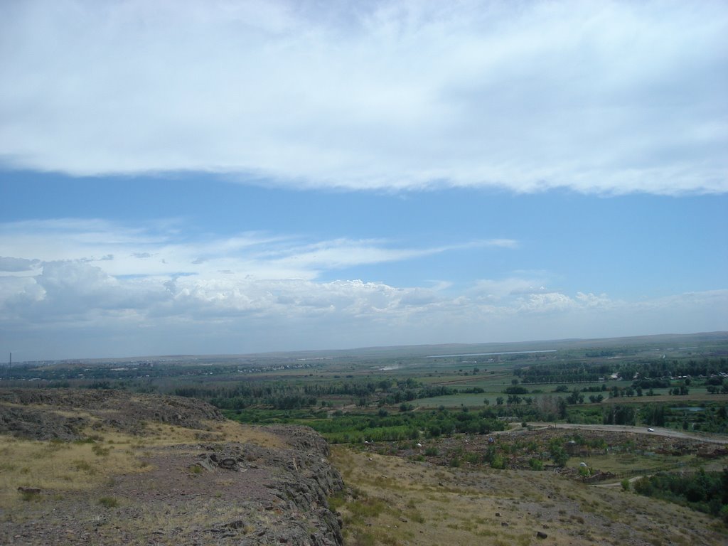 Степь