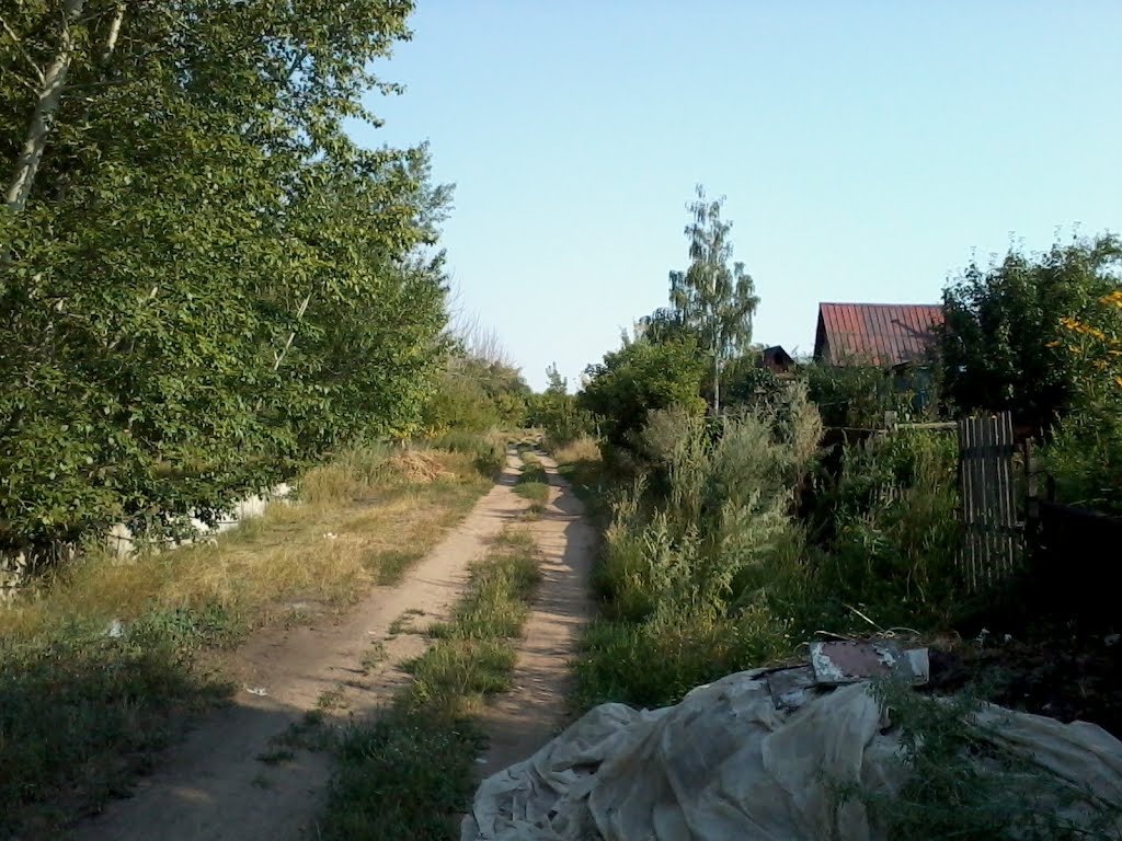 Дачи.