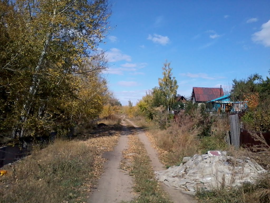 Дачи 1.