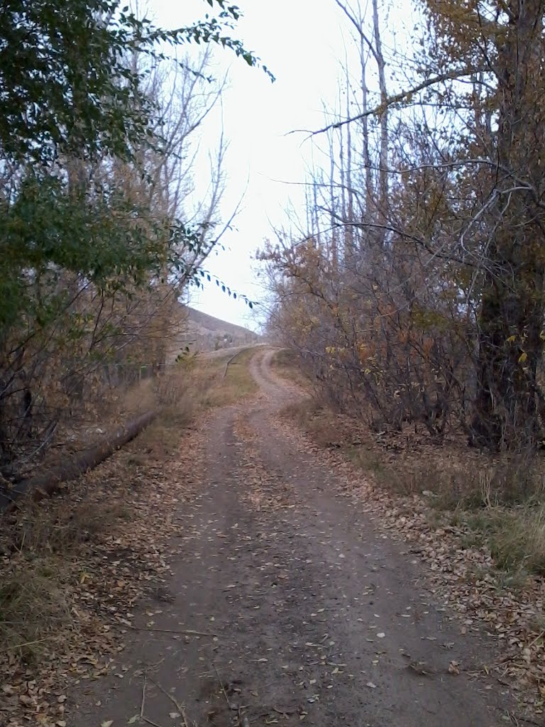 Дорога.