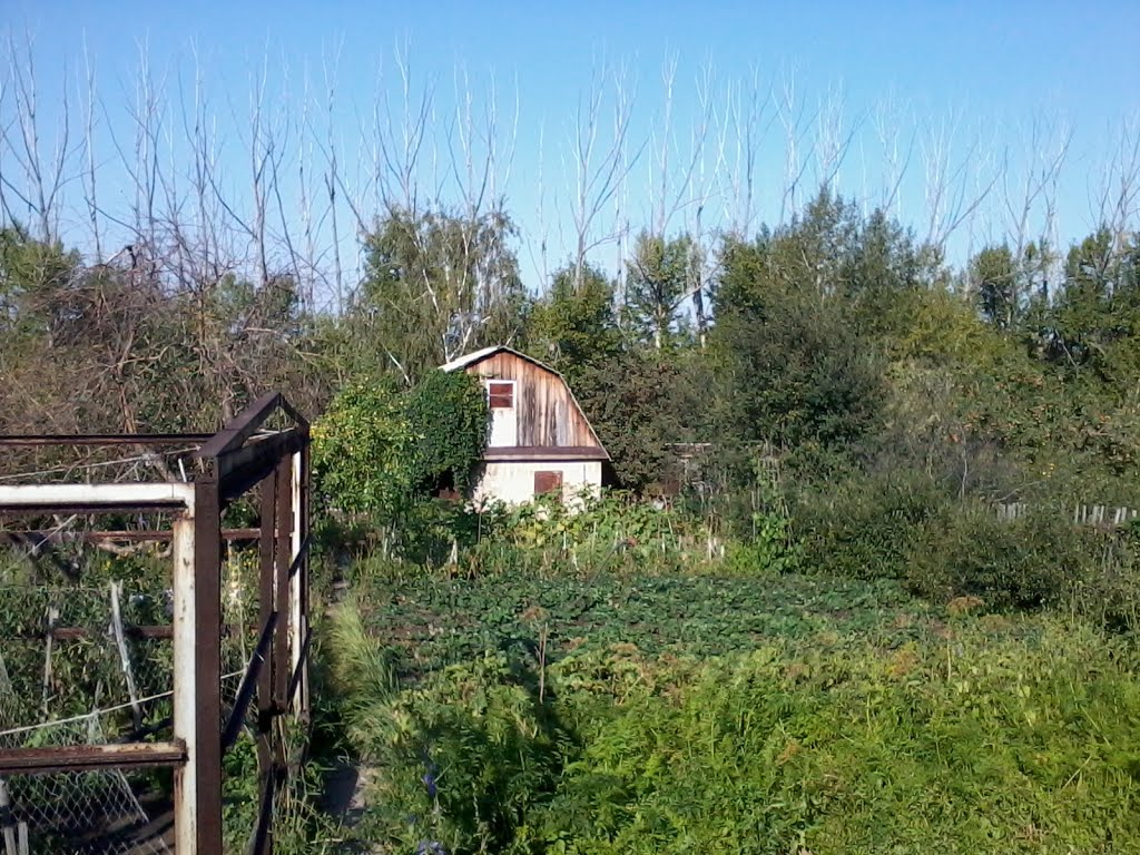 На даче.
