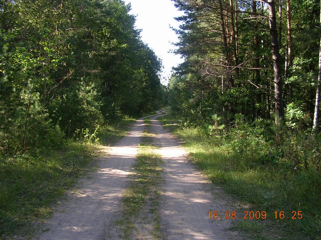 Стары шлях з Узды на Нізок